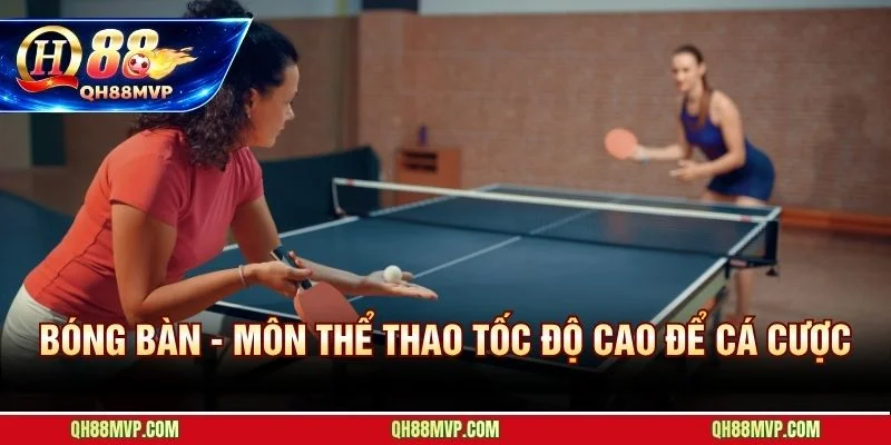 Cá cược bóng bàn hấp dẫn nhờ nhịp độ chóng mặt và cục diện lật ngược chớp nhoáng