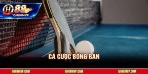 Cá Cược Bóng Bàn Tại QH88 | Hướng Dẫn Kèo Và Mẹo Đánh Rung