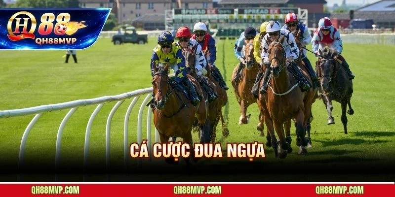Cá Cược Đua Ngựa | Hướng Dẫn Cho Người Mới Tại QH88