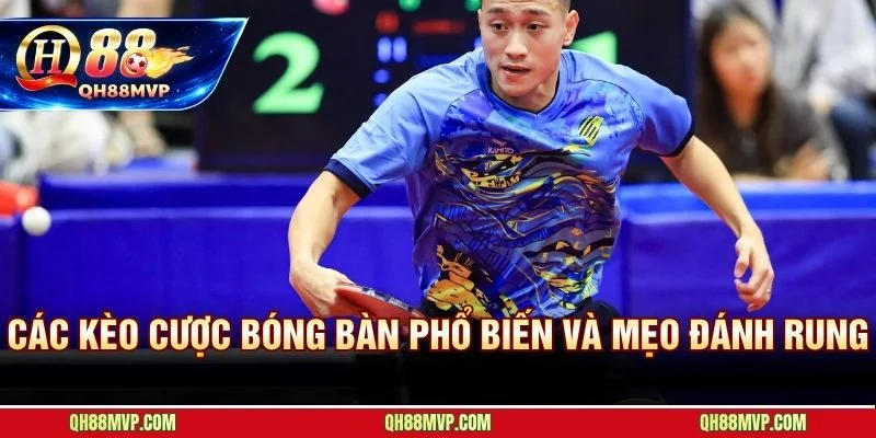 Hiểu đúng từng loại kèo quyết định ai trụ vững lâu dài