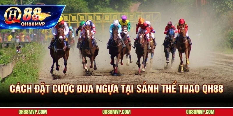 Sảnh thể thao QH88 hiển thị race card và odds trực tiếp trước mỗi cuộc đua