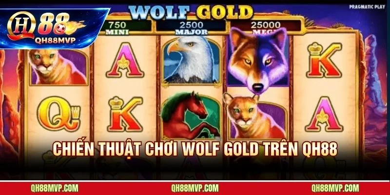 Hoàn trả 1,5% QH88 hỗ trợ chiến lược tích lũy lâu dài trên Wolf Gold