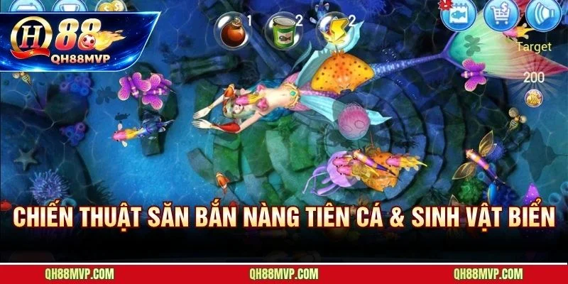 Chiến thuật săn sinh vật biển huyền ảo để tối đa tiền vàng mỗi phiên