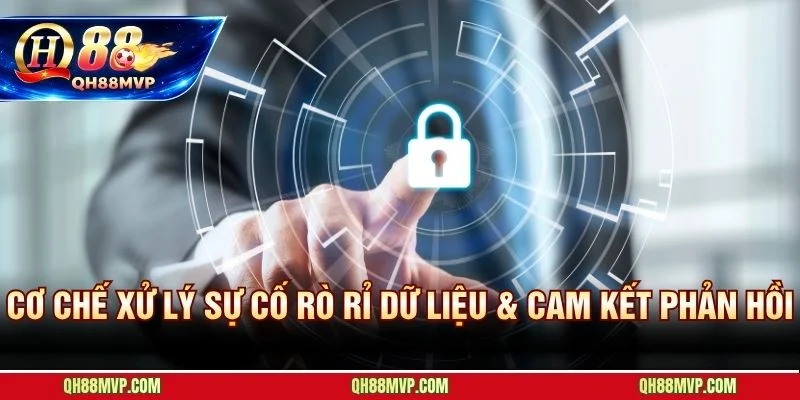 Cơ Chế Xử Lý Sự Cố Rò Rỉ Dữ Liệu & Cam Kết Phản Hồi
