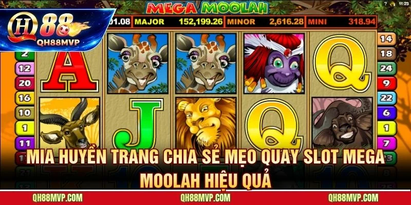 Kỷ luật và free spins hé lộ cách chơi Mega Moolah