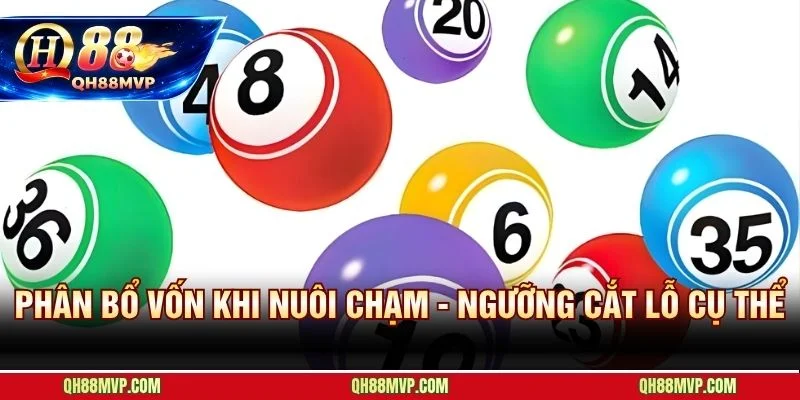 Kiểm soát vốn đề chạm với ngưỡng cắt lỗ ngày và tuần rõ ràng