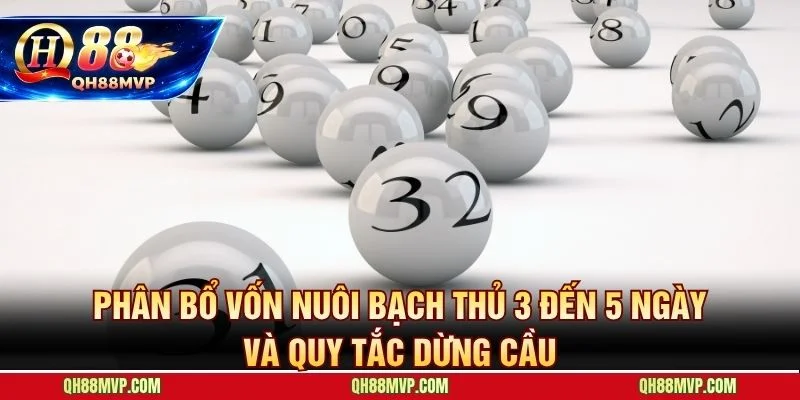 Flat betting và progressive betting bảo vệ sức chiến dài hạn qua từng chu kỳ