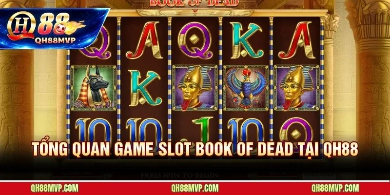 Book of Dead slot Play'n GO với RTP 96,21% và độ biến động cao