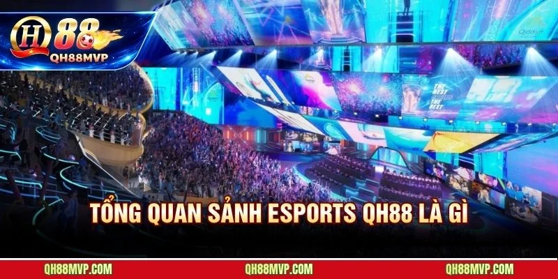 Esports QH88 do AP E-Sport vận hành theo tiêu chuẩn quốc tế